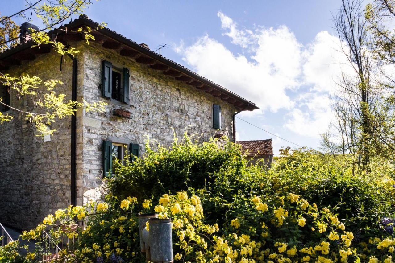 La Cavanella B&B Camugnano Eksteriør billede