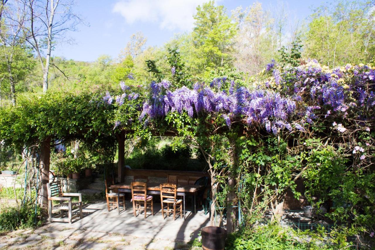 La Cavanella B&B Camugnano Eksteriør billede